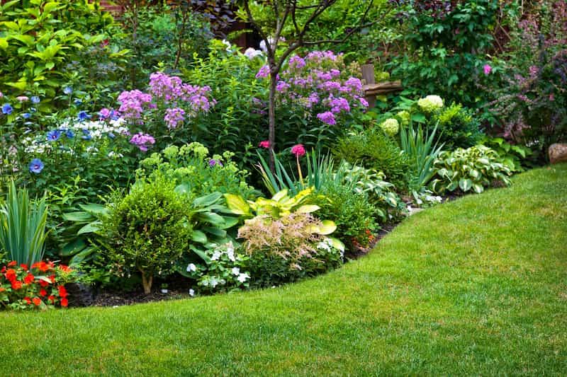 Looking For Just the Right Landscaping Plant For Your Seattle Home?