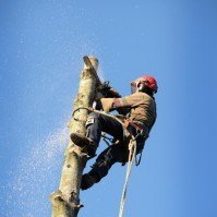 Mountlake Terrace, WA