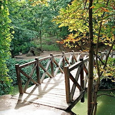 Seattle tree services