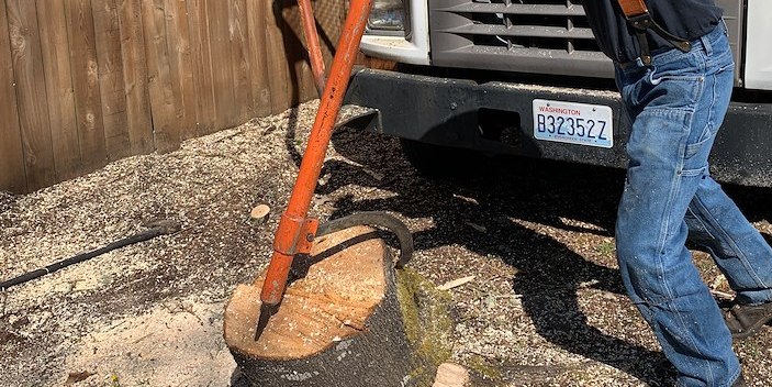 Stump Removal